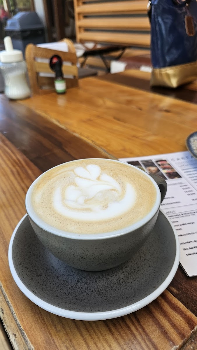 Eleganza Coffee Roaster-5