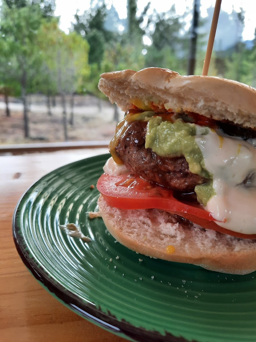 Eleganza Coffee Roaster-8